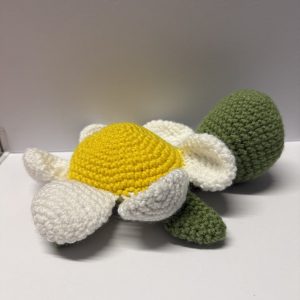Spring sea turtles